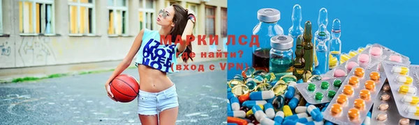 spice Вязники